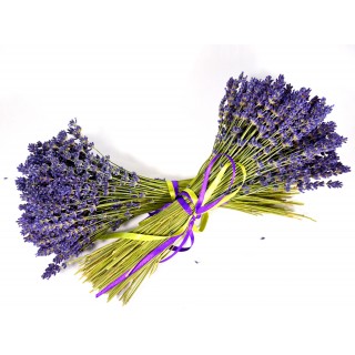 Bouquet de lavande bleue  bio
