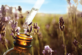 Les secrets de l'huile essentielle