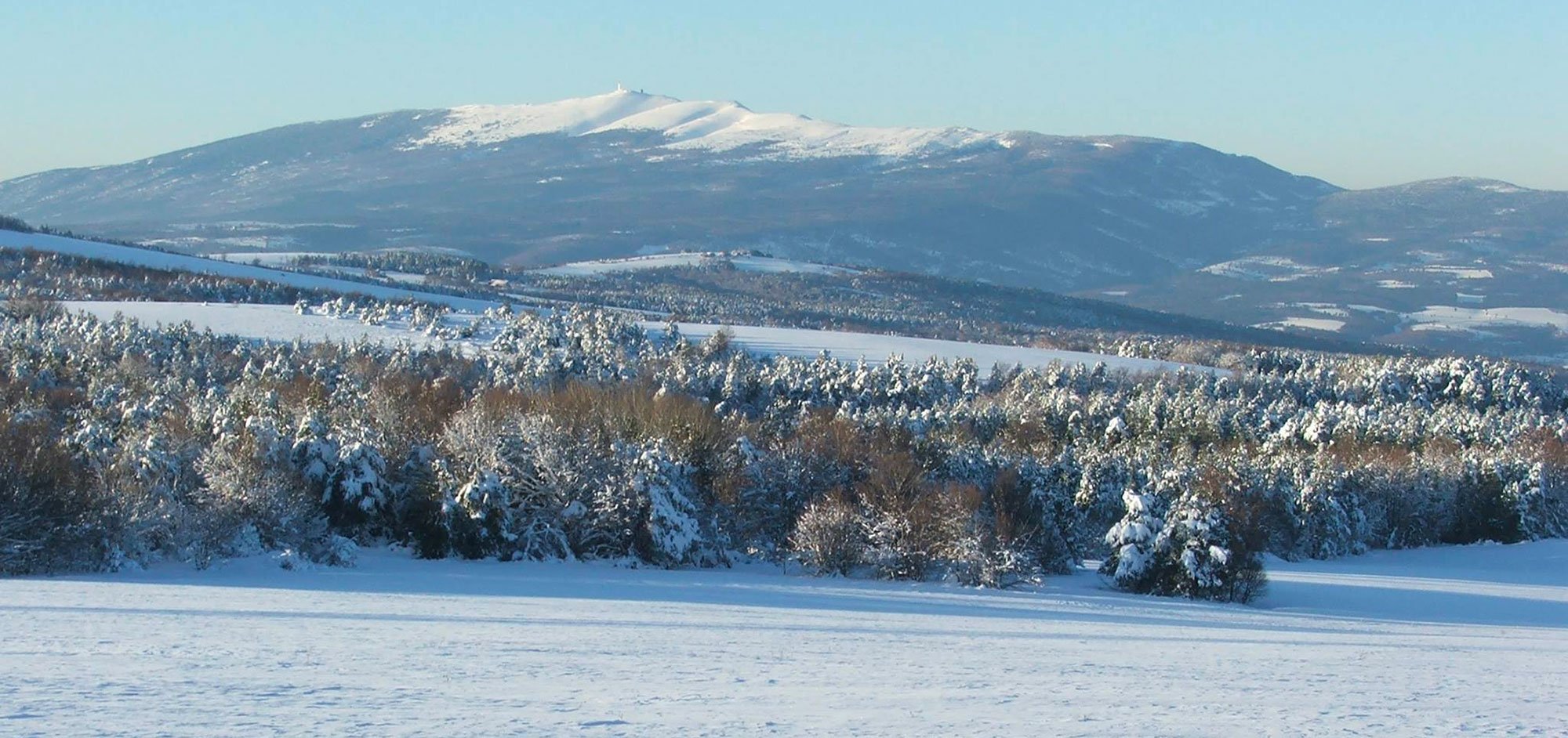 Neige sur les lavanderaies