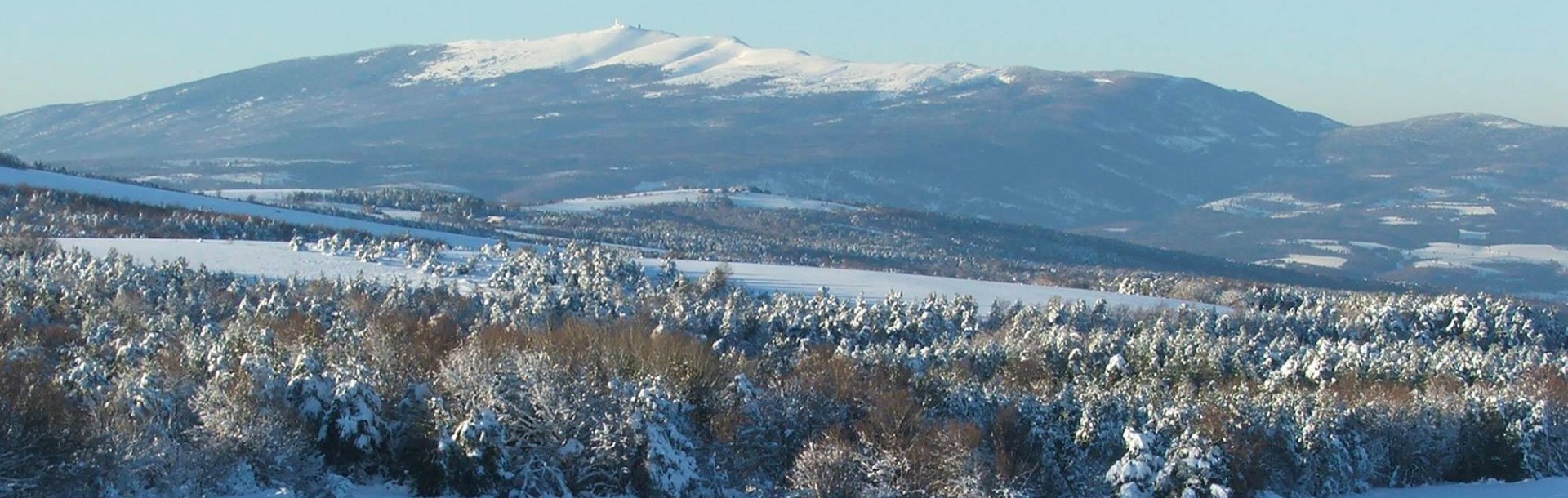 L'Or des Lavandes en hiver